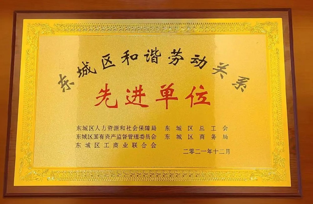 大龍集團(tuán)榮獲“東城區(qū)和諧勞動(dòng)關(guān)系先進(jìn)單位”光榮稱號